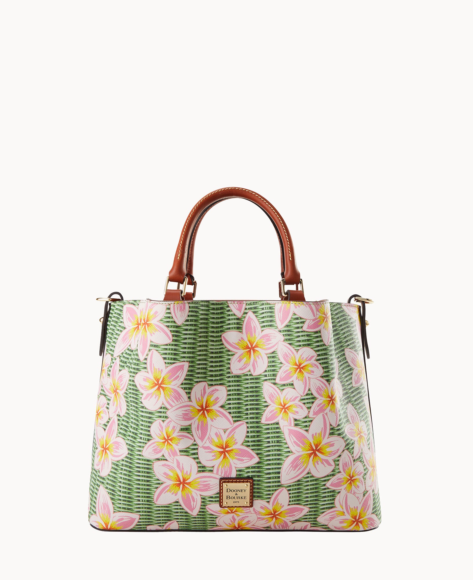 Plumeria Brenna - Image 9