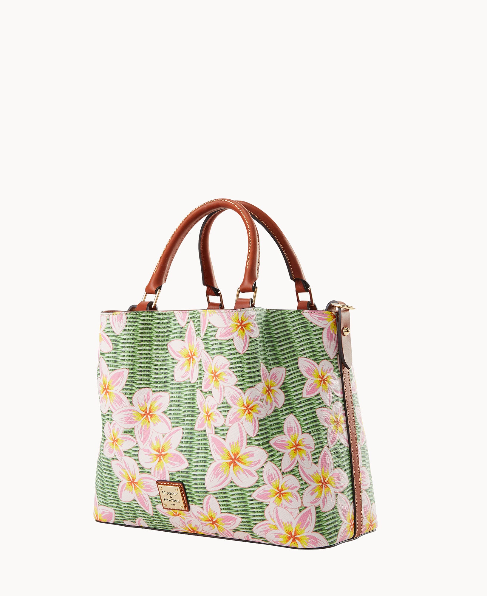 Plumeria Brenna - Image 10