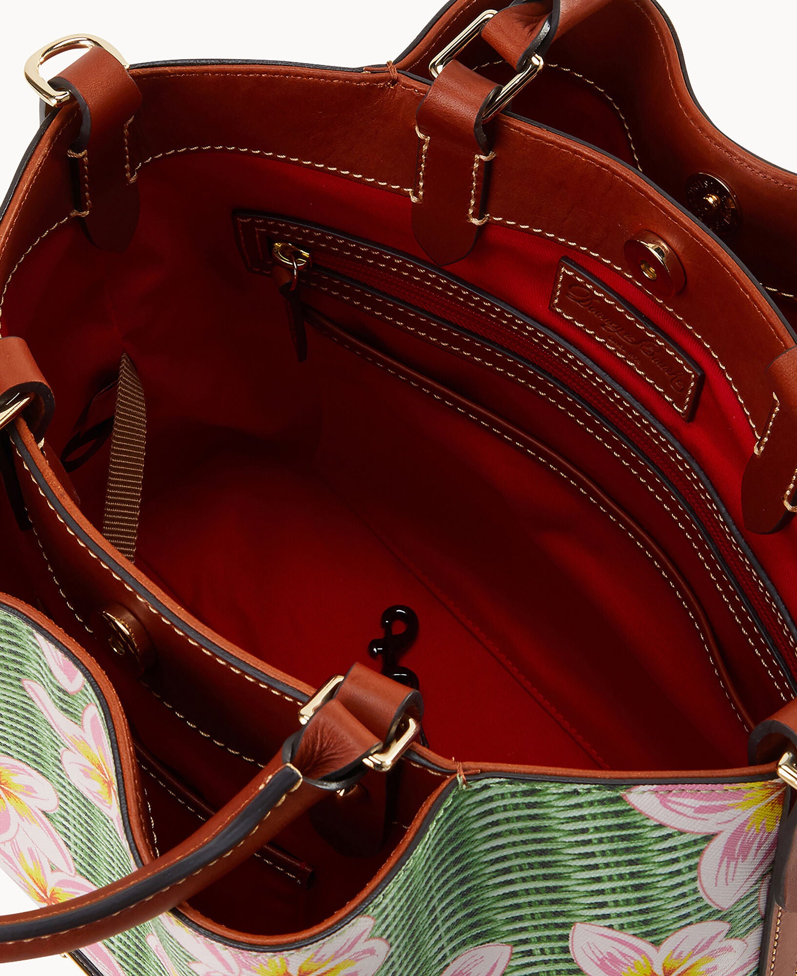 Plumeria Brenna - Image 11