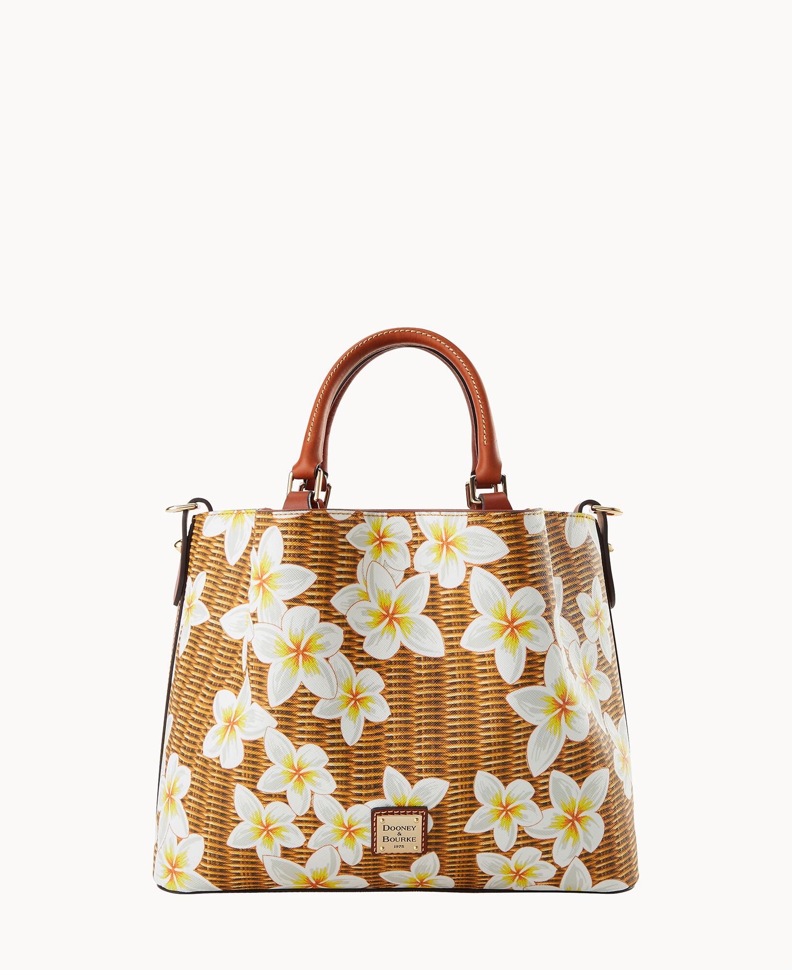 Plumeria Brenna - Image 5