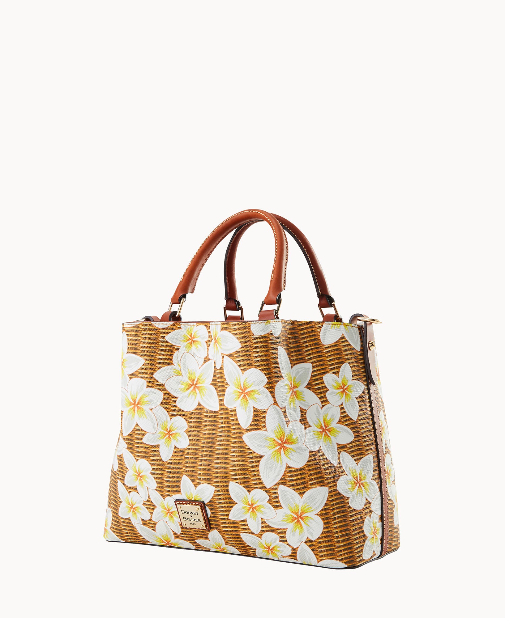 Plumeria Brenna - Image 6